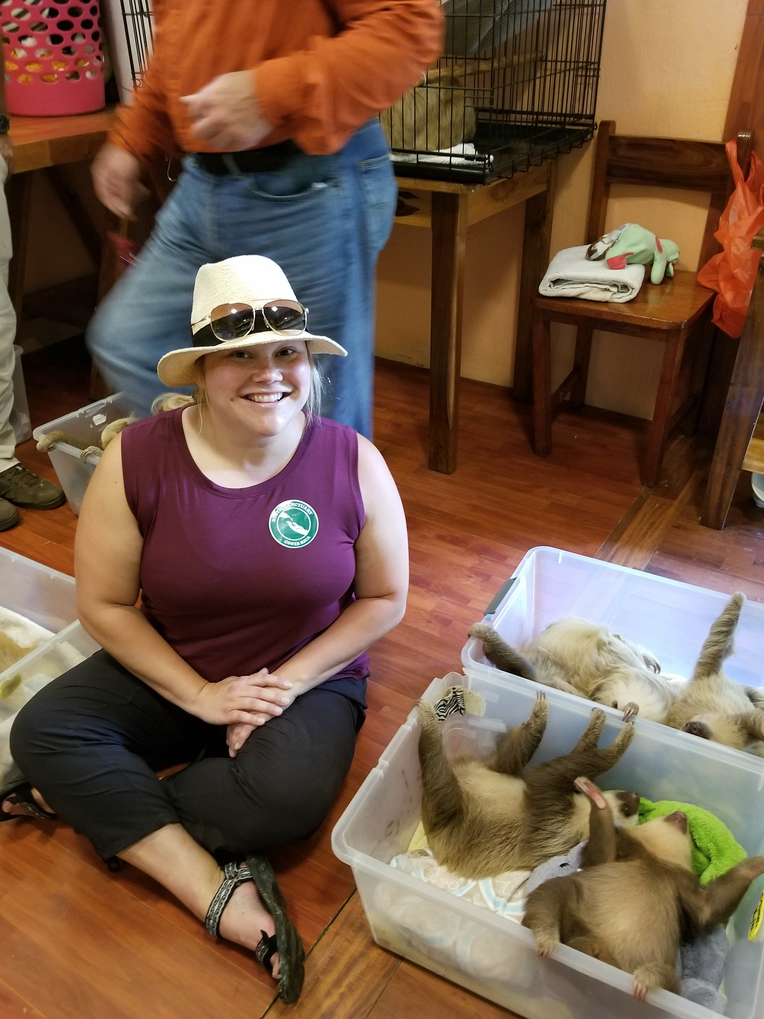 Costa Rica: Part 3 – Sloths!