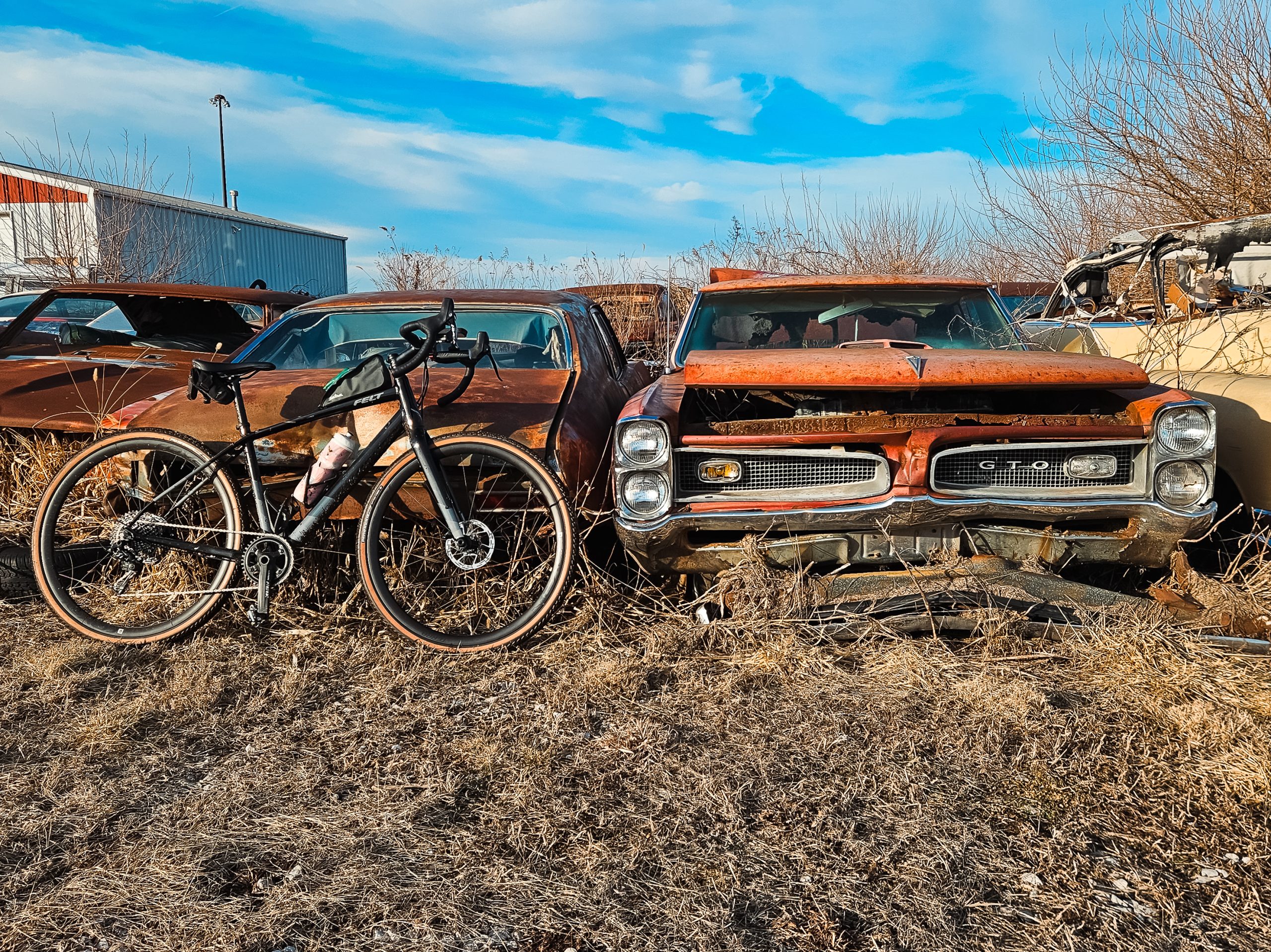 2025 Favorite Photos